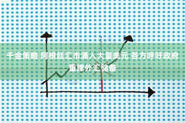 千金策略 阿根廷汇市涌入大量美元 各方呼吁政府重建外汇储备
